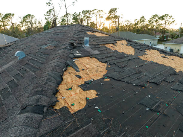 Best Roof Moss and Algae Removal  in West Hurley, NY