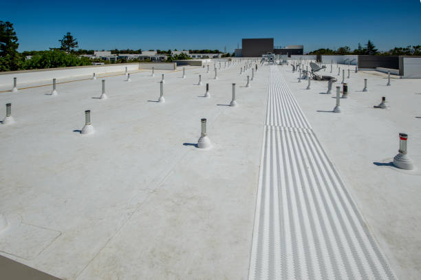 Best Sheet Metal Roofing  in West Hurley, NY